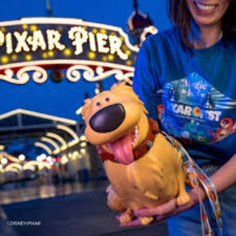 Disney pixar dug magic key popcorn bucket